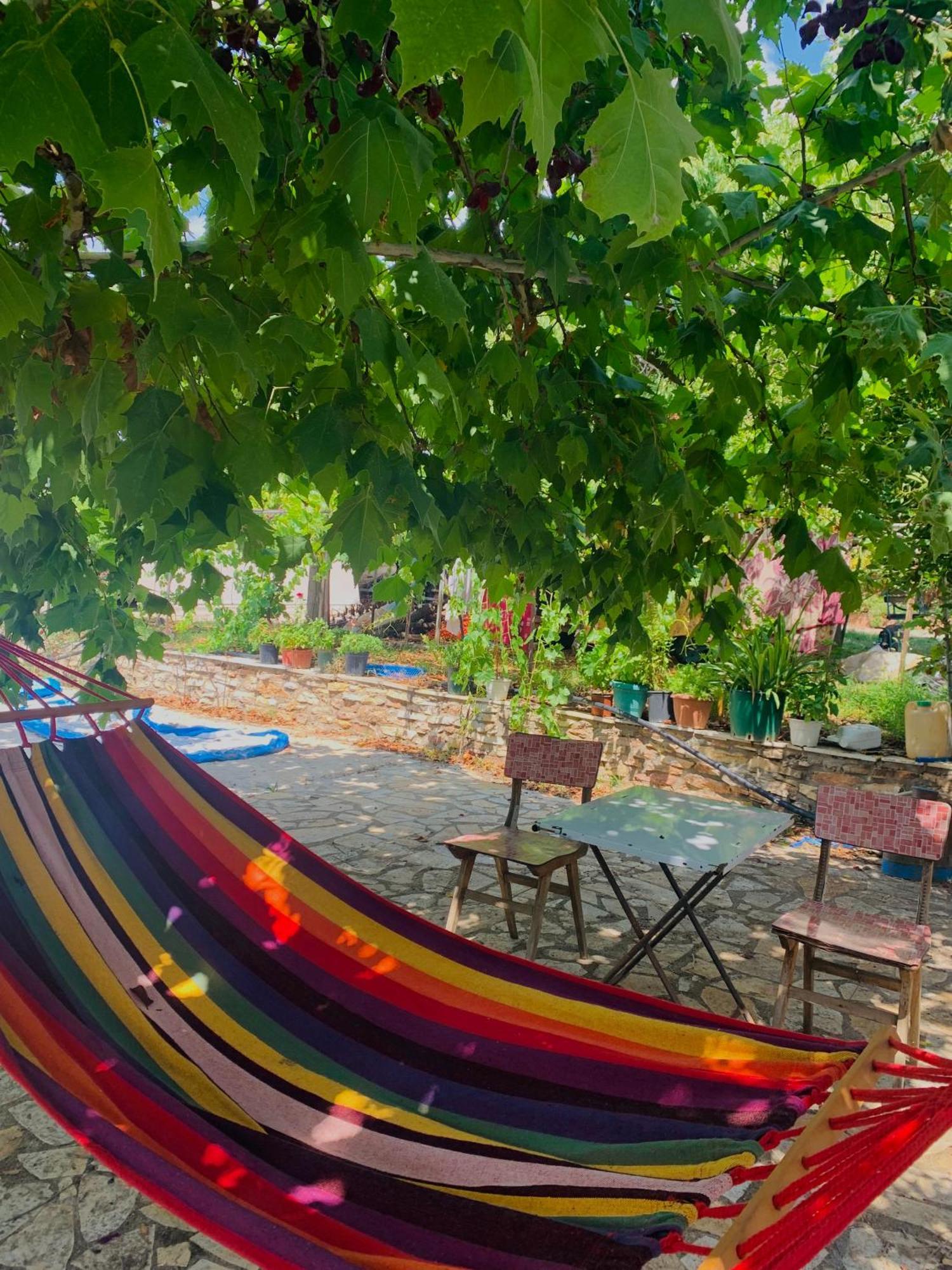 Bokas Exotic House Apartman Tragana  Kültér fotó